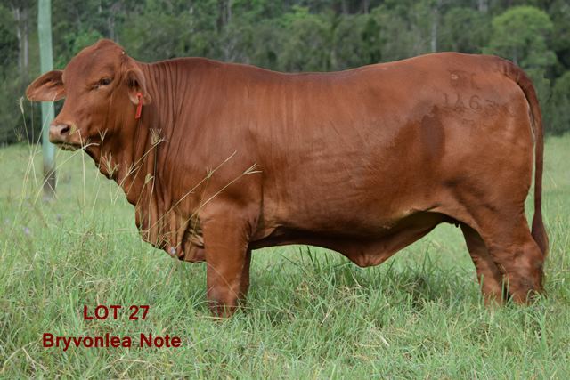Bryvonlea Note